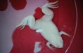 /album/animaux-albinos/grenouille-ajbinos-jpg/